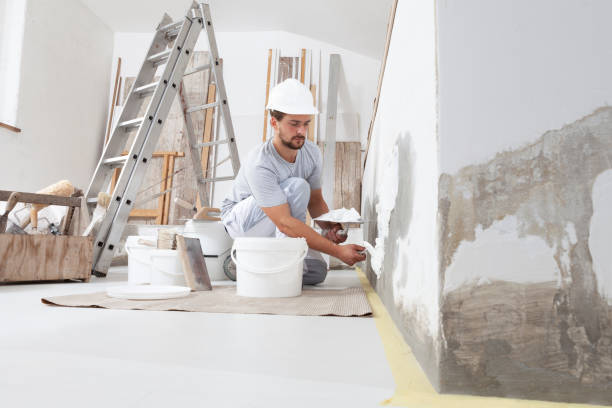 Trusted Ness City, KS Mold Removal Experts