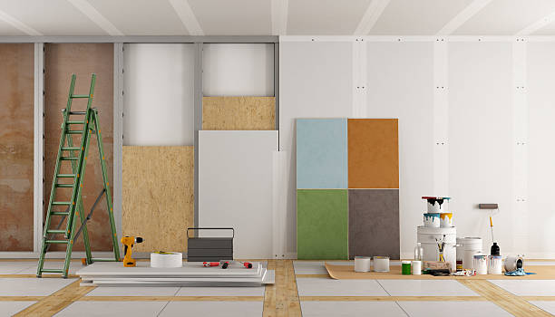 Best Mold Damage Restoration  in Ness City, KS